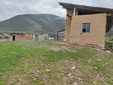 Товары и оборудование для с/х животных: Нужен скотник и доярка — 8