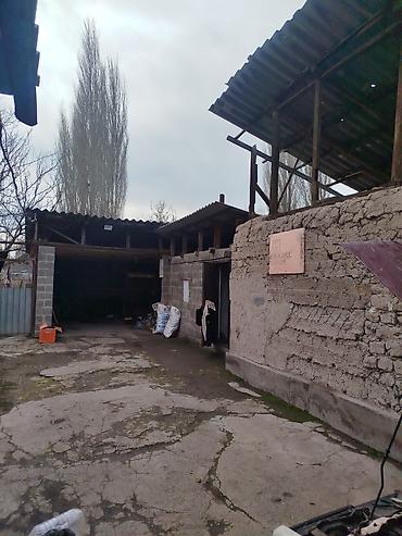 Продажа коттеджей и домов: Продается дом в г. Кара балта 17,5 соток. Мы посадили осенью новый — 7