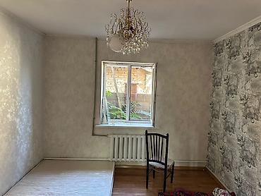 1 комнаты: 250 м², 5 комнат, Без животных — 1