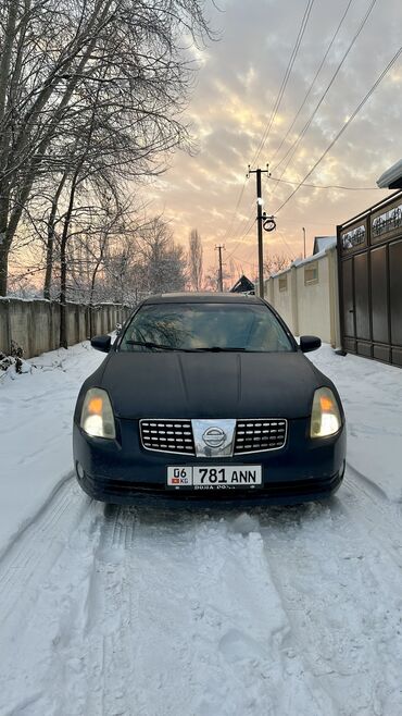 квадроцикл с прицепом: Nissan Maxima: 2003 г., 3.5 л, Автомат, Бензин, Седан