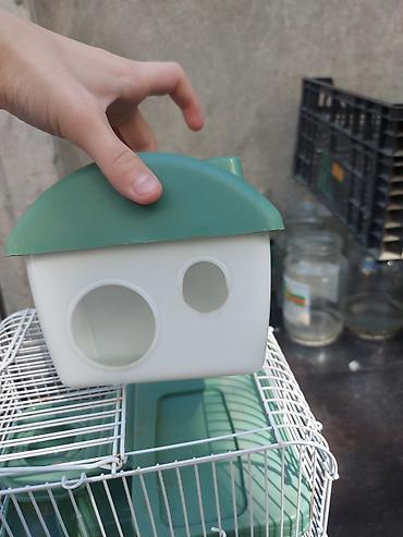 hamster satis: Kiçik hemstrlar üçün qəfəs dəsti - Ağ metal barmaqlıqlı, yaşıl — 2