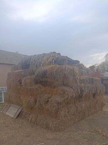 детскую кроватку кроватка к: Саман сатылат былтыркы