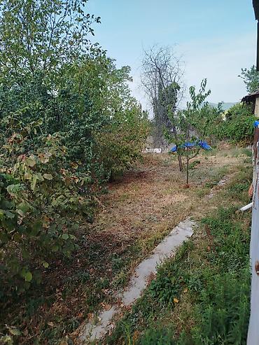 Həyət evləri və villaların satışı: Həyətyanı sahəsi genişdir, sakit məhəllədə yerləşir, ətrafı təbiət və -da lalafo.az — 14 Həyət evləri və villaların satışı: Həyətyanı sahəsi genişdir, sakit məhəllədə yerləşir, ətrafı təbiət və — 14