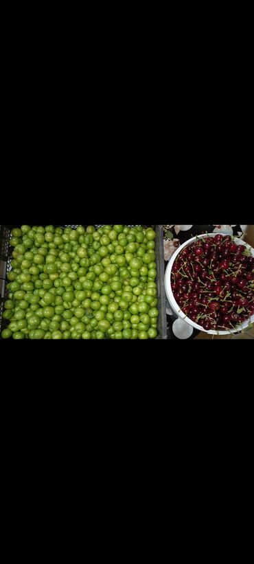 Torpaq sahələrinin satışı: 243 sot, Kənd təsərrüfatı, Mülkiyyətçi, Kupça (Çıxarış) — 12