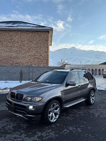 BMW: BMW X5: 2004 г., 4.4 л, Автомат, Бензин, Кроссовер — 1