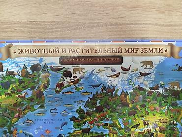 Учебники: Двусторонний настенный плакат «Карта мира» - Сторона 1: «МИР — 5