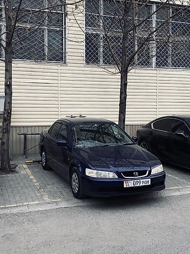my kuzov: Honda Accord: 2001 г., 1.8 л, Автомат, Бензин, Седан — 6