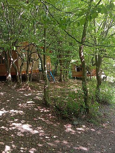 Günlük kirayə evlər: Masalli rayonu. İsti su istirahet merkezine yaxin. Turan restoranina — 29