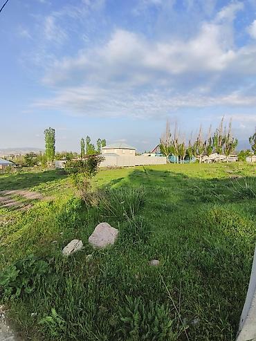 Продажа участков: 5 соток, Красная книга — 2