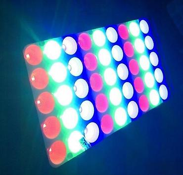 solarno drvo: RGB LED reflektori sa daljinskim IR IP65 10w, 20w,30w,50w. PROLEĆNA — 3