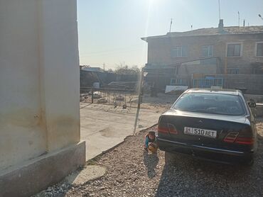 Дрова: Дрова — 3