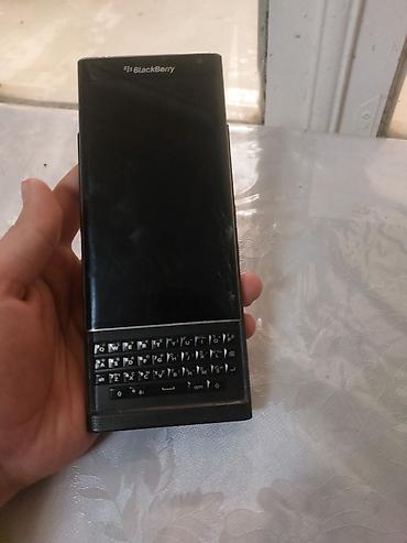 Ежевика: Ежевика Priv, цвет - Черный — 4