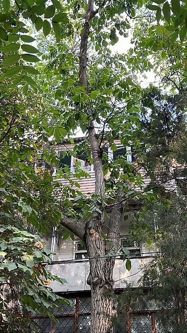 Курулуш жана оңдоо кызматтары: Балконду, лоджияны жылуулоо, Полдорду жылуулоо, Шыптарды жылуулоо | Үйдү жылуулоо, Батирди жылуулоо, Контейнерди жылуулоо Пенопласт, Пеноплекс, Минералдык жүн 6 жылдан ашык тажрыйба — 2