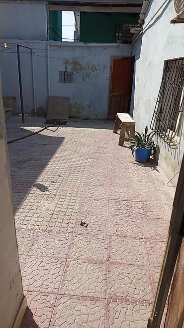 1 otaqlı həyət evi – həyəti və köməkçi tikililərlə - Plan: 1 otaq