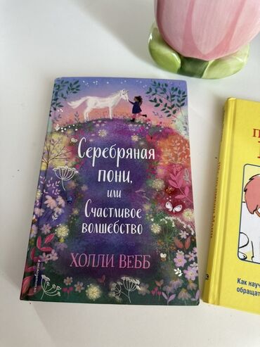 музыкальное оборудование бишкек: Книга "Серебряная пони, или Счастливое волшебство" Холли Вебб. Это