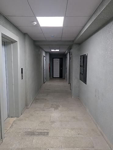 квартира горкого: 1 комната, 41 м², Элитка, 4 этаж, ПСО (под самоотделку) — 10