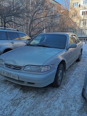 сельхоз шины: Hyundai Sonata: 1995 г., 2 л, Механика, Бензин, Седан