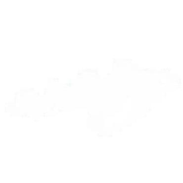 Ostali pribor i dodaci za alate: Karburator za motorne testere – univerzalni tip Opis: - Karburator za — 10