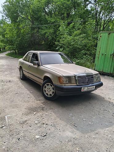 1520 мерс: Mercedes-Benz W124: 1989 г., 2.5 л, Механика, Дизель, Седан — 1