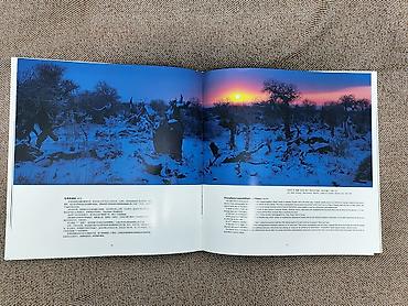 юань: Редкий китайский фотоальбом 《野马无限》 / ENDLESS WILD HORSE — 2007 год — 3