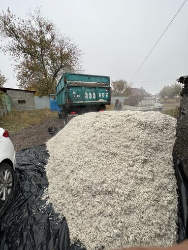 сено камыш: Жом жом жом С доставкой по Чуйской области Зил 10-11 тонн жом