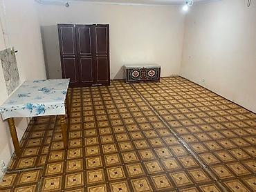50 м², 2 комнаты, Новопавловка с., Без животных