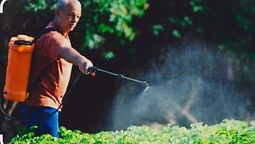 Опрыскиватели: Опрыскиватель Ранцевый — 8