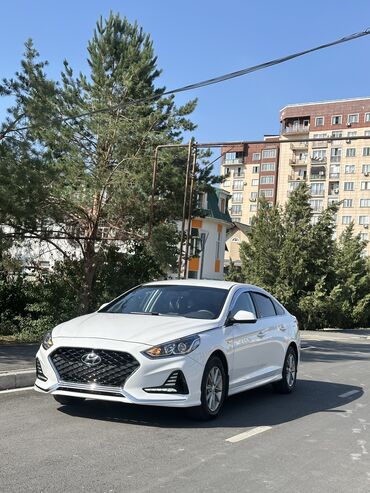 шумоизоляция для машины: Hyundai Sonata: 2020 г., 2 л, Автомат, Газ, Седан