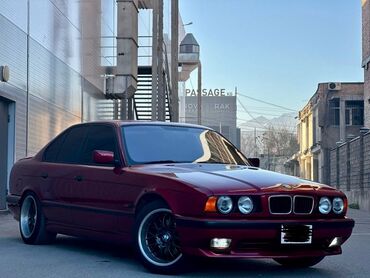 BMW: BMW 5 series: 1995 г., 4.4 л, Механика, Бензин, Седан