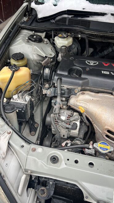 Toyota: Toyota Camry: 2003 г. — 11