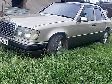 авто полироль: Mercedes-Benz W124: 1990 г., 2.3 л, Механика, Бензин, Седан — 1