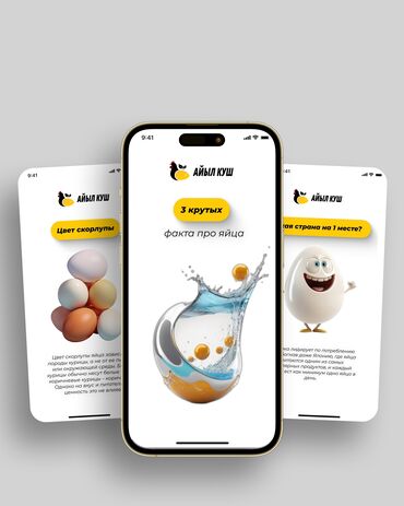 IT, компьютеры, связь: Полная упаковка аккаунта в инстаграм Логотип Создание визуала at lalafo.kg — 12 IT, компьютеры, связь: Полная упаковка аккаунта в инстаграм Логотип Создание визуала — 12