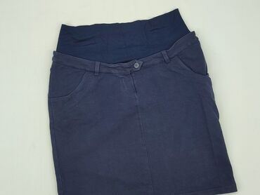 zamszowa spódnice plisowane: Women`s skirt, S (EU 36)