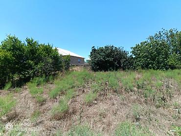 binə atcılıqda torpaq: 6 sot, Kənd təsərrüfatı, Mülkiyyətçi, Kupça (Çıxarış) — 1