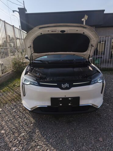 Weltmeister: Weltmeister W6, 2022 г., 53500 км, Передний, В наличии — 3