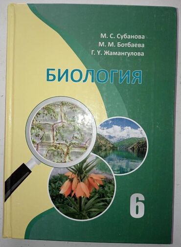 книга русский язык 1 класс: Книги