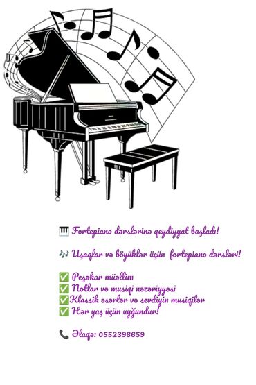 gitara kurslari bakida: Digər kurslar