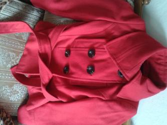 50 объявлений | lalafo.kg: Женская куртка S (36), цвет - Красный, Zara