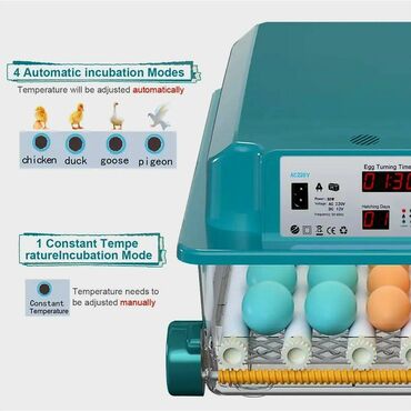 İnkubatorlar: Yeni satışda 64 yumurtalıq inkubator. Fotolar ona aiddir. Tam -da lalafo.az — 6 İnkubatorlar: Yeni satışda 64 yumurtalıq inkubator. Fotolar ona aiddir. Tam — 6