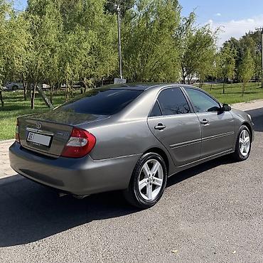 r17 225 x 50: Toyota Camry: 2003 г., 2.4 л, Автомат, Бензин, Седан — 4