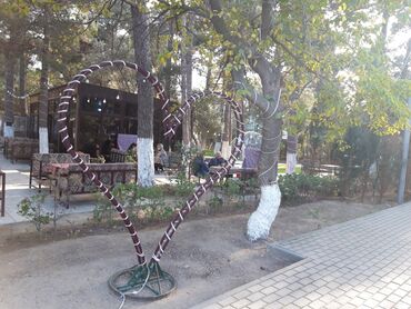 Restoran, kafelər: Sumqayıt şəhəri Nəsimi Parkında Meşəlik ərazidə yerləşən, açıq — 6