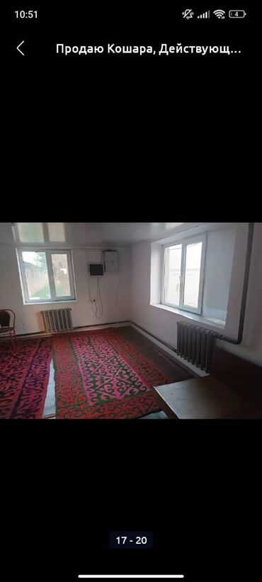 Сельхоз предприятия: Продаю Кошара, 50 соток, Действующий, Частично с оборудованием, Электричество, Канализация, Отопление at lalafo.kg — 7 Сельхоз предприятия: Продаю Кошара, 50 соток, Действующий, Частично с оборудованием, Электричество, Канализация, Отопление — 7