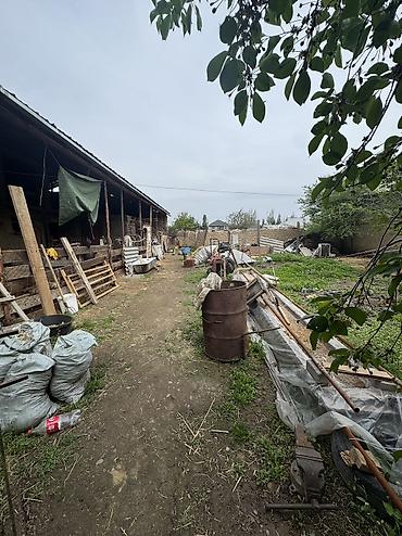 Продажа коттеджей и домов: ✨ Продаётся дом ПСО в с. Сокулук ✨ 🏡 Характеристики: • Участок - — 4