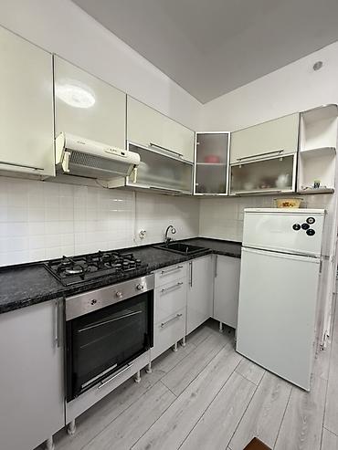 Долгосрочная аренда квартир: 3 комнаты, С мебелью полностью — 10