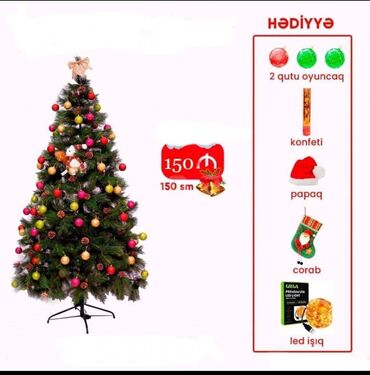 yeni il agaci satilir: Şam ağacı 150 sm, Yeni