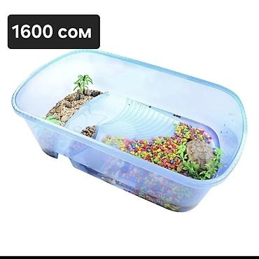 Аквариумы: Аквариумы и емкости для содержания черепах/мелких водных питомцев. 1) — 10