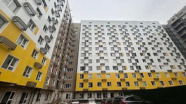 квв: 1 комната, 42 м², Элитка, 8 этаж, Свежий ремонт — 10