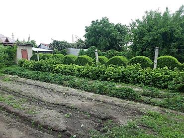 Продажа домов: Дом, 160 м², 6 комнат, Собственник, Косметический ремонт — 17