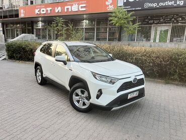 рав 4 2017 цена бишкек: Toyota RAV4, белый кроссовер (актуальное поколение). Кузов