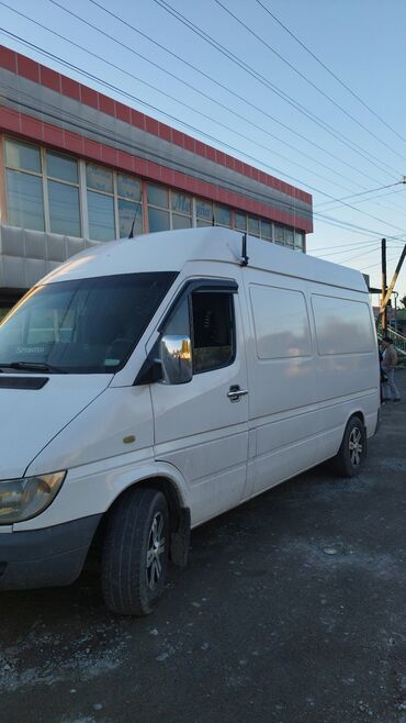 люк спринтер: Mercedes-Benz Спринтер: 2003 г., 2.9 л, Механика, Дизель, Бус